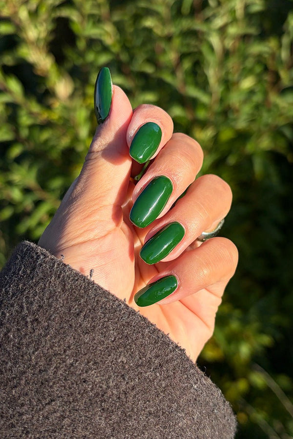 Cucumber · 514