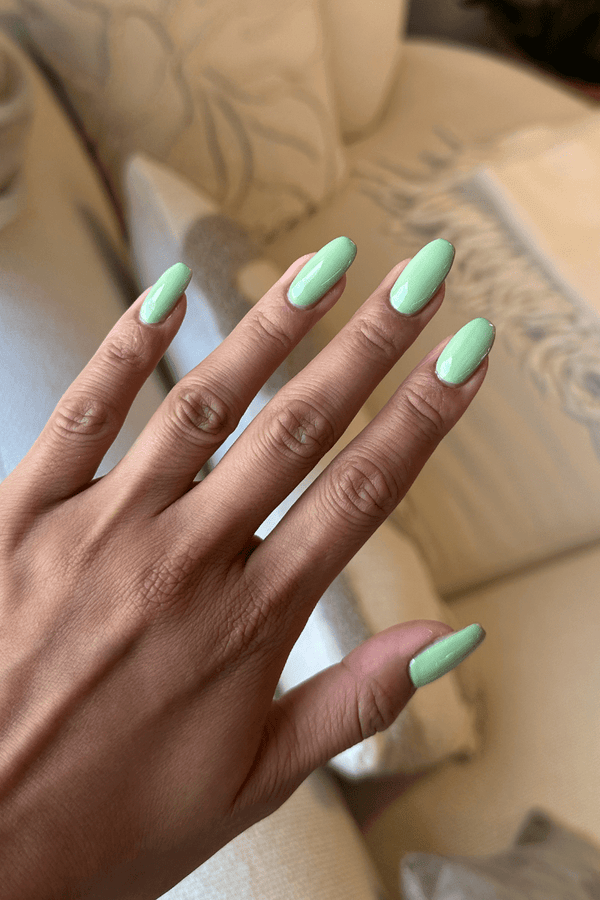 Pistachio · 488